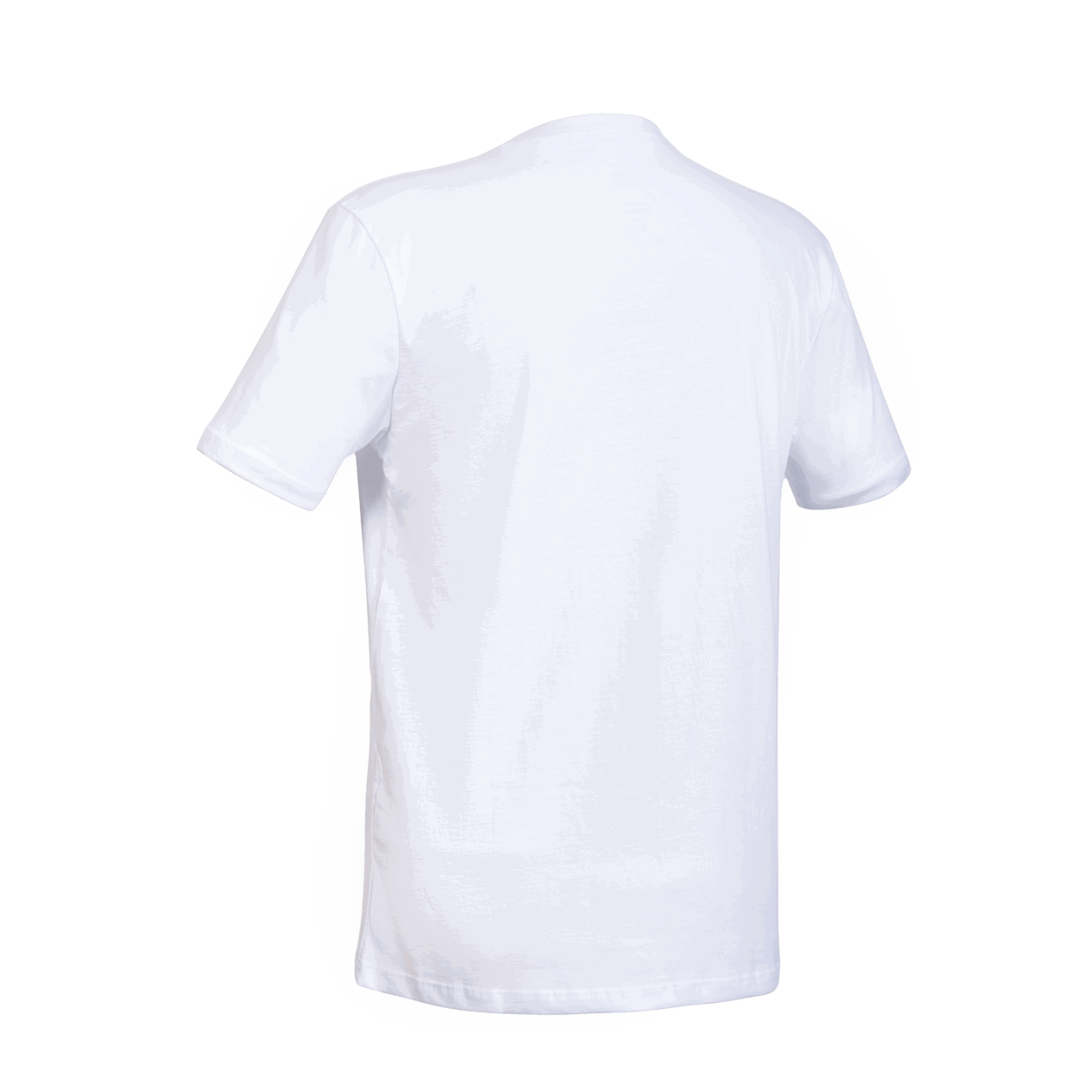 ION Tee Logo BRA SS men 2025